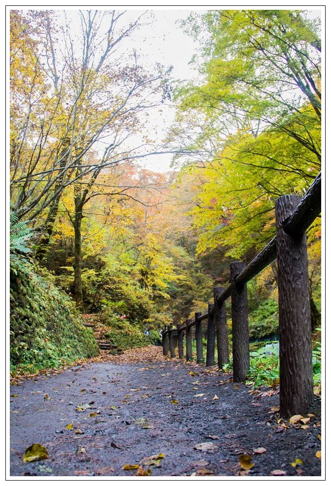 東本-輕井澤白絲瀑布